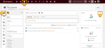 How to enable and use Budget for Matter or Client 13