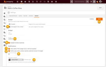 How to enable and use Budget for Matter or Client 4