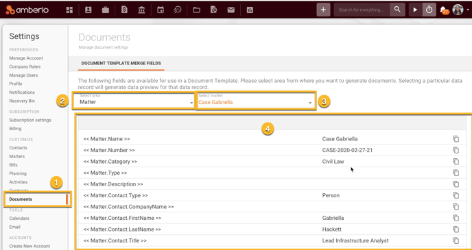 What is a Document Template Merge Field1